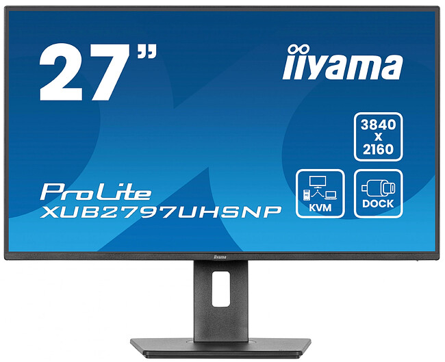Монитор Iiyama ProLite XUB2797UHSNP-B1 черный