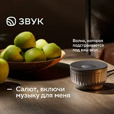 Умная колонка Sber Boom Mini 2 серый (SBDV-00250G)