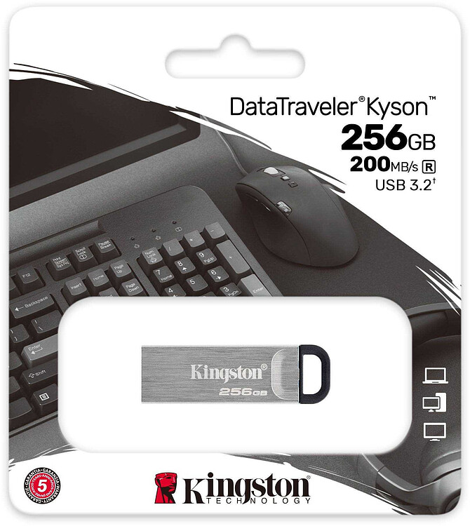 USB Flash-накопитель Kingston DataTraveler Kyson 256GB металл серебристый (DTKN/256GB)