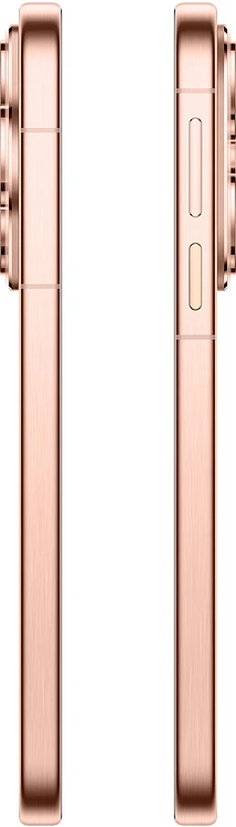 Смартфон Huawei Pura 80 HED-LX9 12/256Gb Frosted Gold (51098KET)