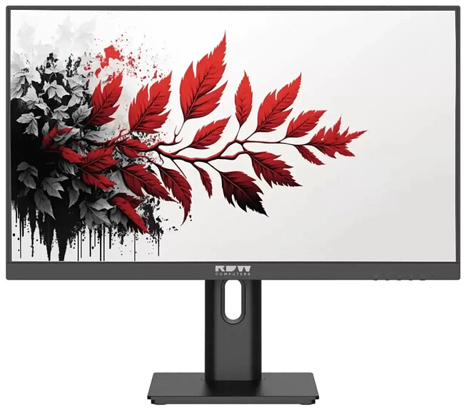 МониторRDW Computers RDW2701K (2701K/F08B3120V2A1)
