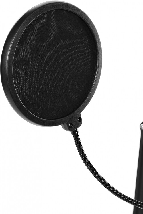 Микрофон Ritmix RDM-169