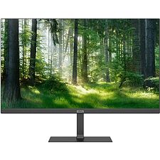 Монитор Elsa EA251Q