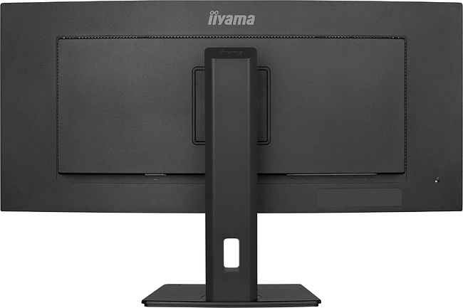 Монитор Iiyama ProLite XCB3497WQSNPH-B1 черный