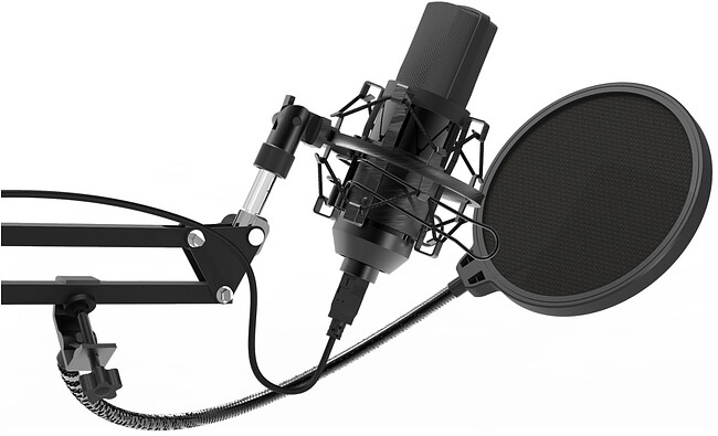 Микрофон Ritmix RDM-169
