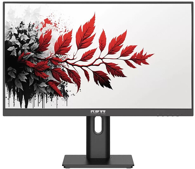 Монитор RDW Computers RDW2701K черный (F00B3100V2A1)