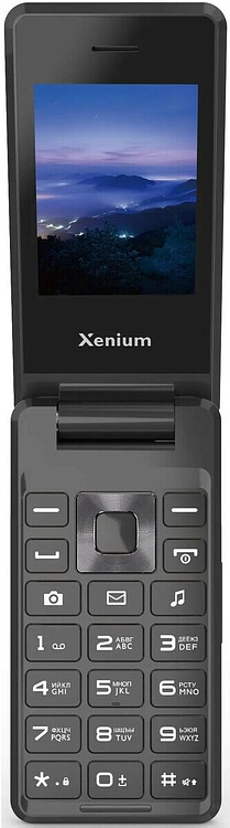 Мобильный телефон Xenium X600 темно-серый (CTX600DG/00) Мобильный телефон Xenium X600 темно-серый (CTX600DG/00)