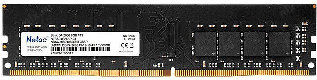 Оперативная память Netac Basic 8GB DDR4 PC4-25600 (NTBSD4P32SP-08)