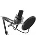 Микрофон Ritmix RDM-169