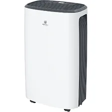 Осушитель воздуха Royal Clima Carisma Loft (RD-CR20-E)