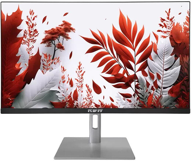 Монитор RDW Computers RDW2407K черный/серебристый (F14В3120V2A1B)