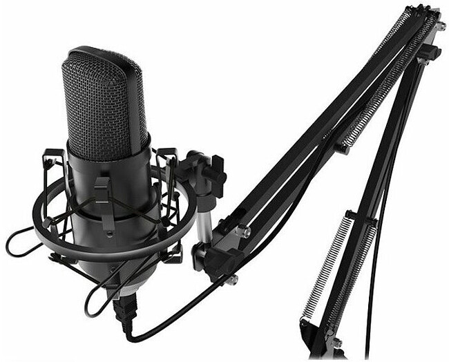 Микрофон Ritmix RDM-169