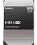 Жесткий диск Synology 12Tb (HAS5300-12T)