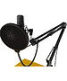 Микрофон Ritmix RDM-169