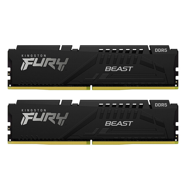 Оперативная память Kingston Fury Beast Black RTL Gaming DDR5 2x32GB (KF556C36BBEK2-64)