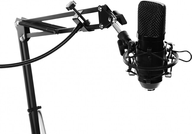 Микрофон Ritmix RDM-169