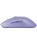 Мышь SteelSeries Rival 3 Gen2 Lavender (62525)
