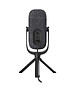 Микрофон Jlab JBuds Talk Mixed (MJBUDSTALKRBLK4)