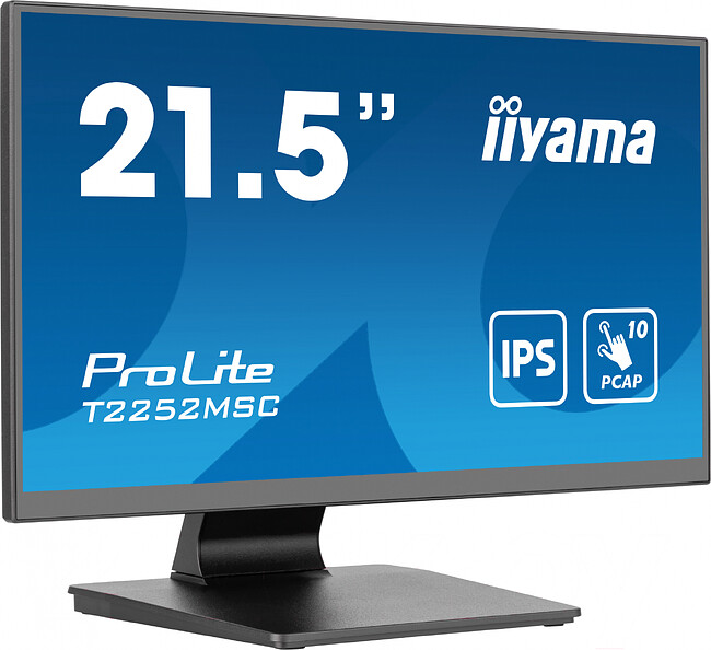 Монитор Iiyama ProLite черный (T2252MSC-B2)