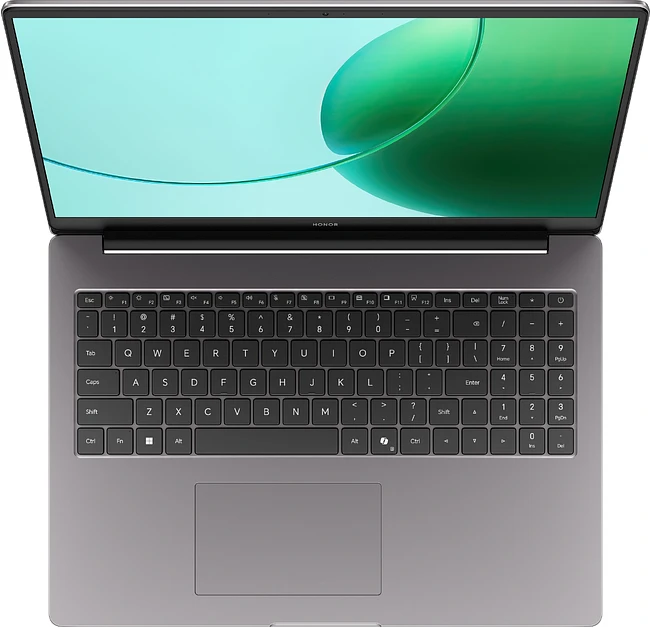 Ноутбук Honor MagicBook X16 GOH-X Grey (5301APLM)