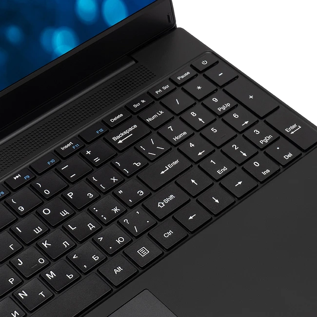 Ноутбук IRU Tactio 15ALG Black (2019268)