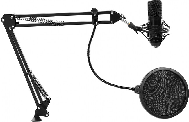 Микрофон Ritmix RDM-169