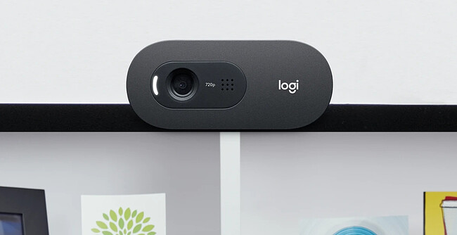 Веб-камера Logitech C505e (960-001372)
