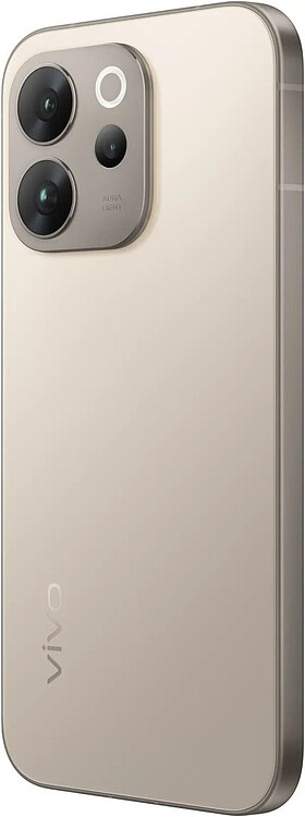 Смартфон Vivo V70 8GB/256GB Gray (V2538)