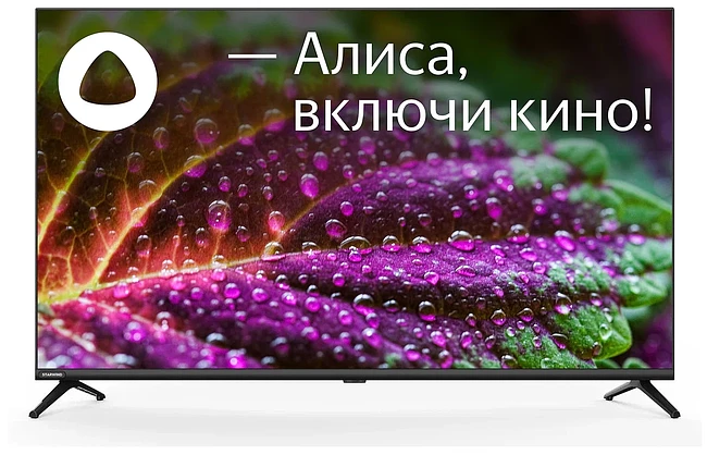 Телевизор StarWind SW-LED43SG300 черный