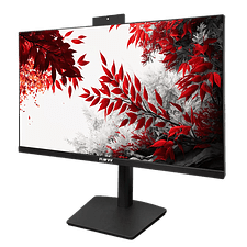 Монитор RDW Computers 2402K черный (F02В3100V2A1)