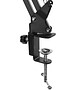 Микрофон Ritmix RDM-169