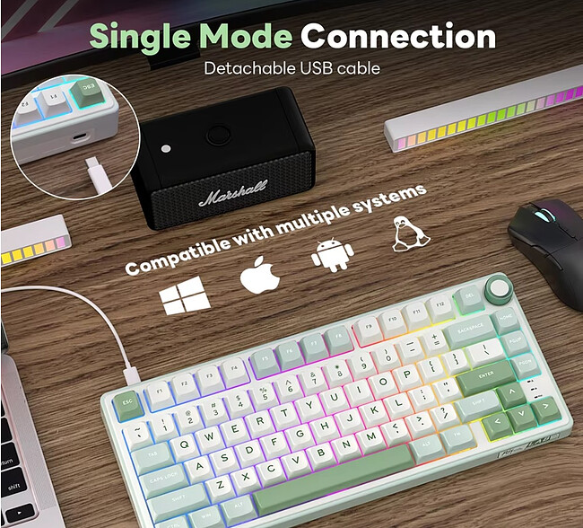 Клавиатура Royal Kludge R75 Brown switch/Skycyan