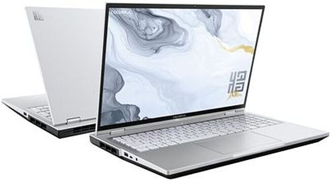Ноутбук Colorful X16 Pro-HD76A3201TS-W-C2A White (A10207000007)