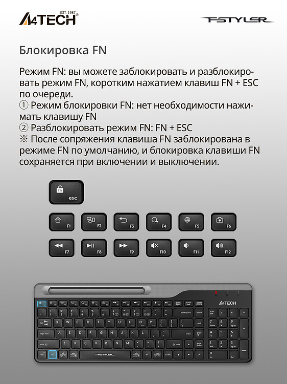 Клавиатура A4Tech Fstyler черный/серый (FBK25)