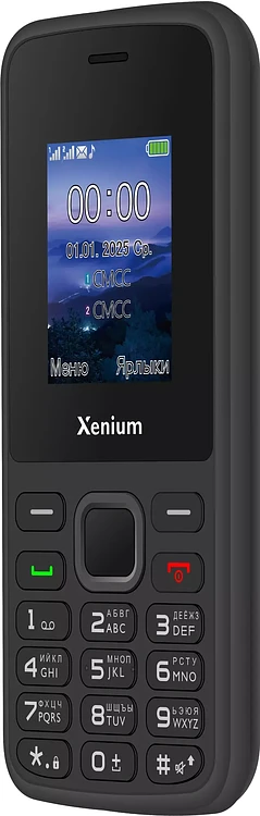 Мобильный телефон Xenium X175 черный (CTX175BK/00)