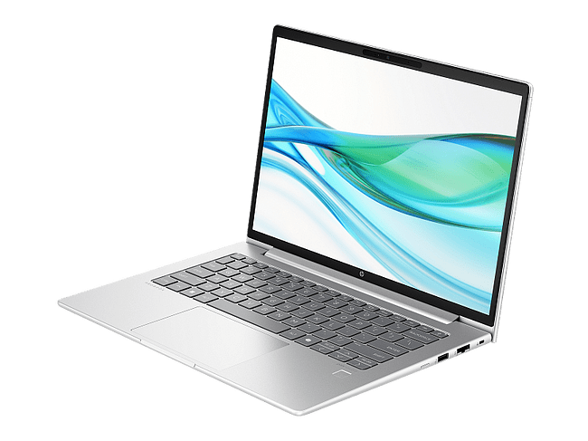 Ноутбук HP Probook 440 G11 Silver (D2FP6ET)