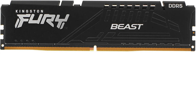 Оперативная память Kingston Fury Beast Black (KF552C40BB-32)