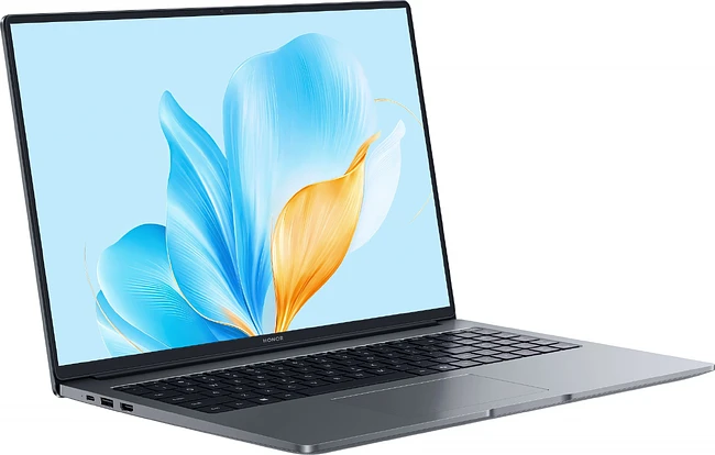 Ноутбук Honor MagicBook X16 2025 BRG-565 Space Gray (5301ALWS)