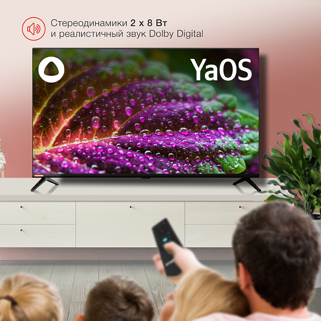 Телевизор StarWind SW-LED40SG300 черный