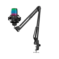Микрофон Ritmix RDM-270