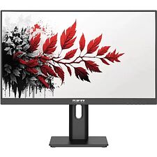 Монитор RDW Computers RDW2701K черный (2701K/F00B3120V2A1)