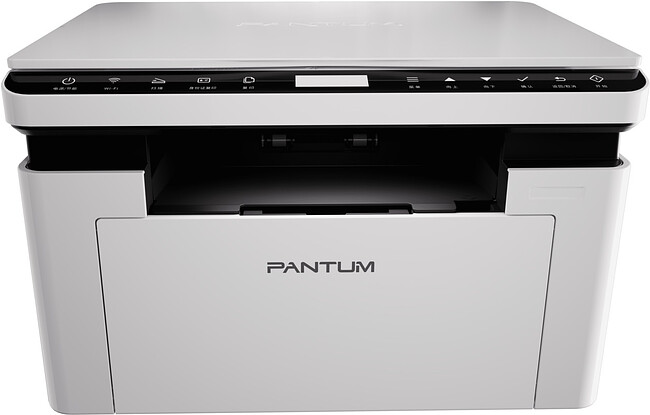 МФУ Pantum BM2300W