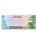 Клавиатура Royal Kludge R75 Brown switch/Skycyan