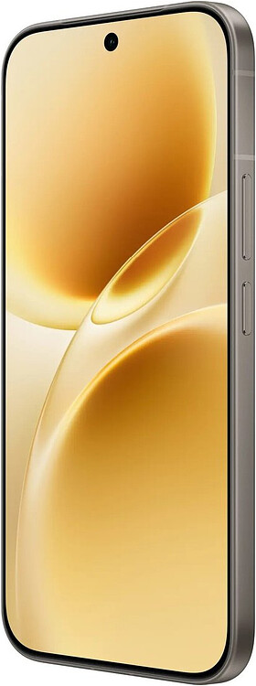 Смартфон Vivo V70 8GB/256GB Gray (V2538)