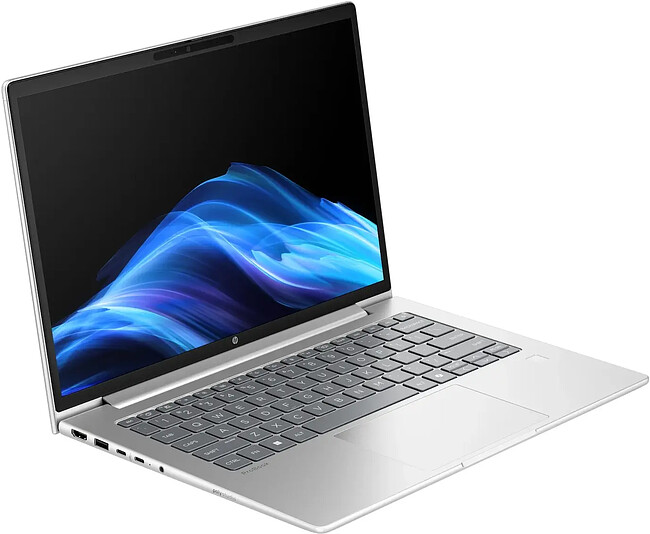 Ноутбук HP ProBook 4 G1a Wolf Pro Silver (BM2B2UT)