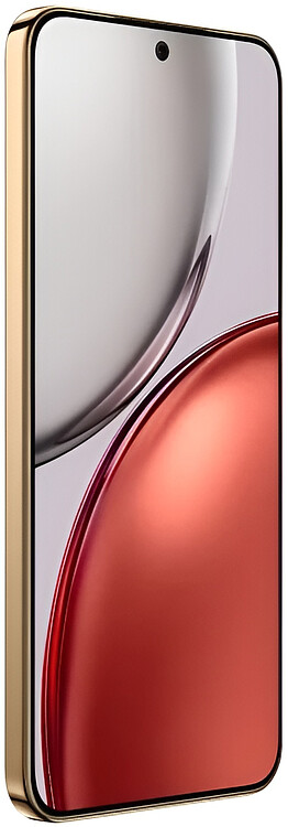 Смартфон Honor X9d 12GB/256GB MTN-NX1 Reddish Brown (5109BYPX)