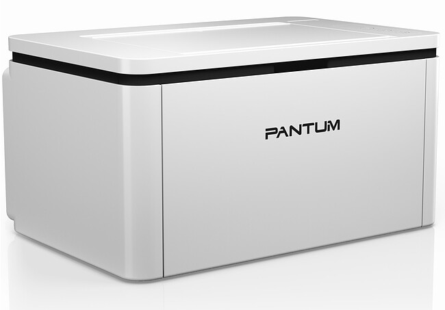 Принтер Pantum BP2300W