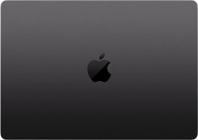 Ноутбук Apple MacBook Pro A3427 Black (MGDU4HN/A)