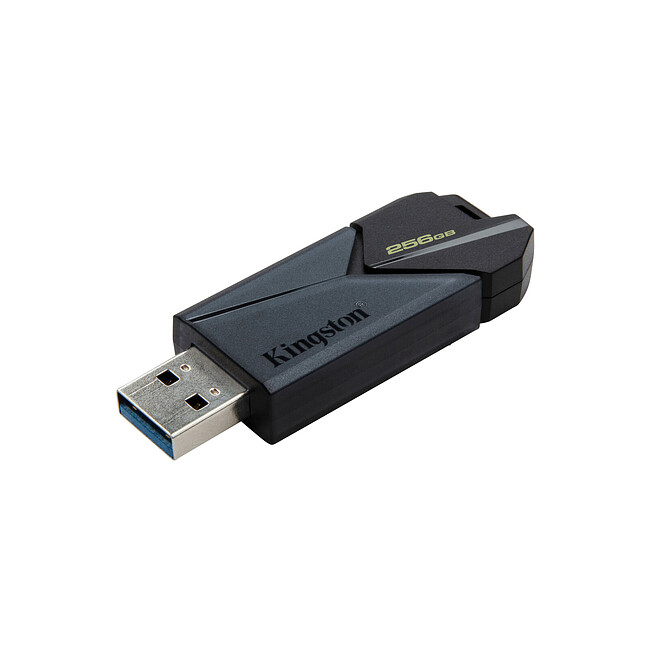 USB Flash-накопитель Kingston DataTraveler Exodia Onyx 256GB (DTXON/256GB)