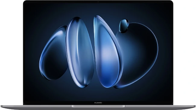 Ноутбук Huawei MateBook 14 FLMH-X Space Grey (53014QLJ)